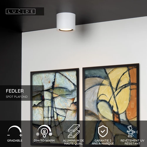 Lucide FEDLER - Spot plafond - Ø 12 cm - LED Dim to warm - GU10 (ES111) - 1x12W 2200K/3000K - Blanc - USP